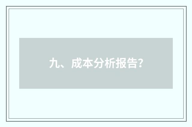 九、成本分析报告？