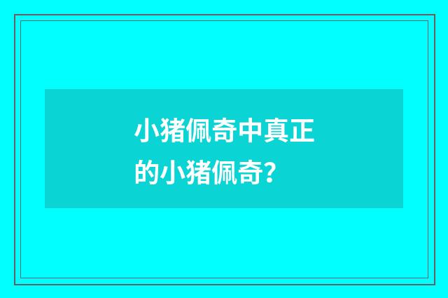 小猪佩奇中真正的小猪佩奇？