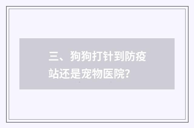 三、狗狗打针到防疫站还是宠物医院？