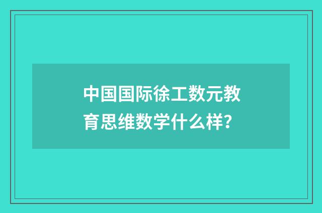 中国国际徐工数元教育思维数学什么样？