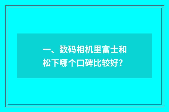 一、数码相机里富士和松下哪个口碑比较好？