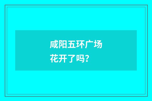 咸阳五环广场花开了吗？