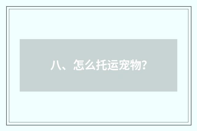 八、怎么托运宠物？