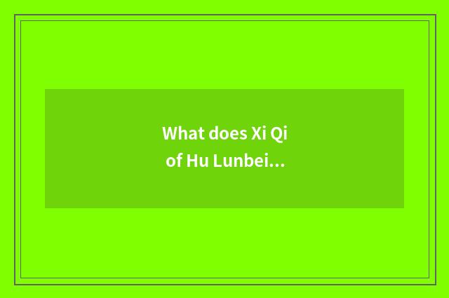 What does Xi Qi of Hu Lunbei Er have?