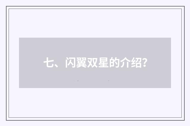 七、闪翼双星的介绍？