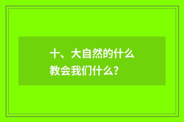 十、大自然的什么教会我们什么？