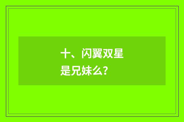 十、闪翼双星是兄妹么？