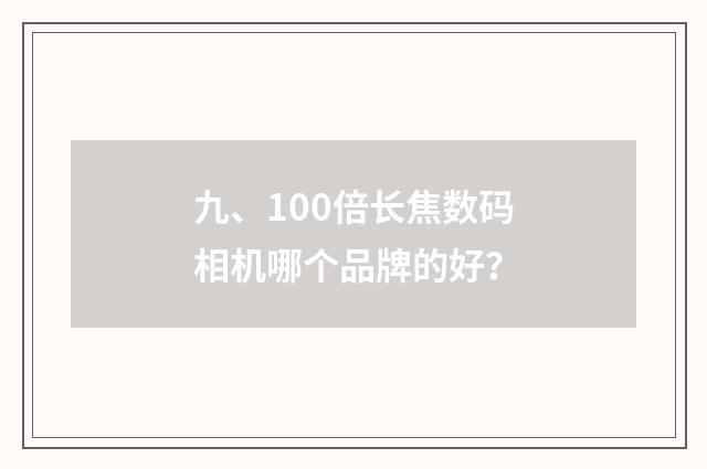 九、100倍长焦数码相机哪个品牌的好?