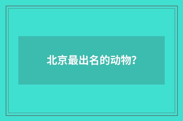 北京最出名的动物？