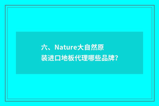 六、Nature大自然原装进口地板代理哪些品牌？