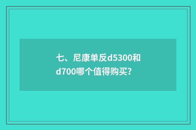 七、尼康单反d5300和d700哪个值得购买？