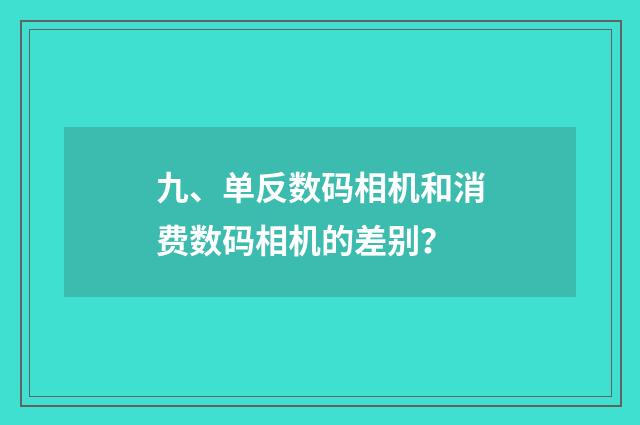 九、单反数码相机和消费数码相机的差别？