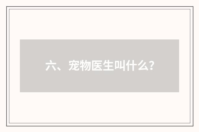 六、宠物医生叫什么？