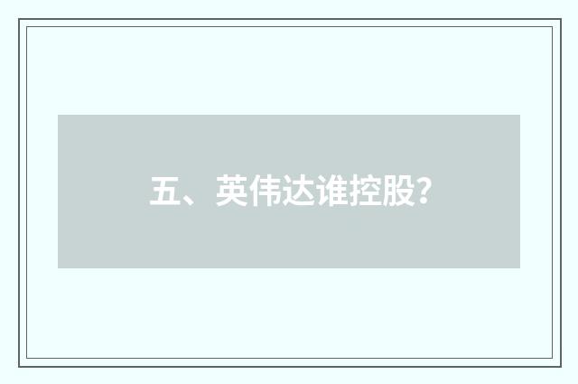 五、英伟达谁控股？