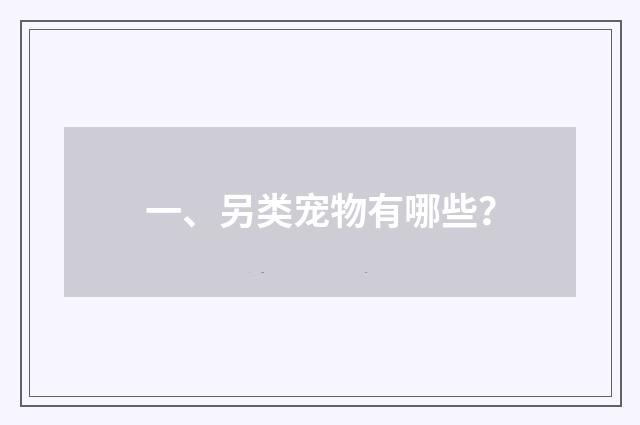 一、另类宠物有哪些？