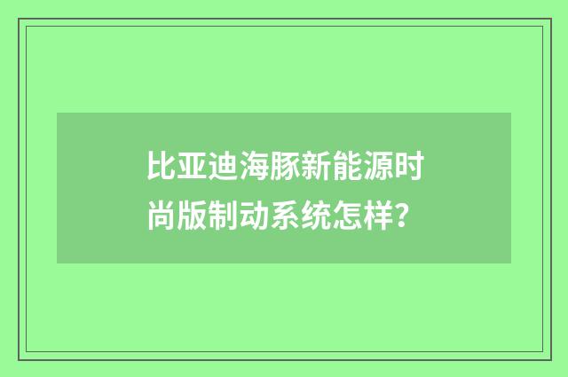 比亚迪海豚新能源时尚版制动系统怎样？