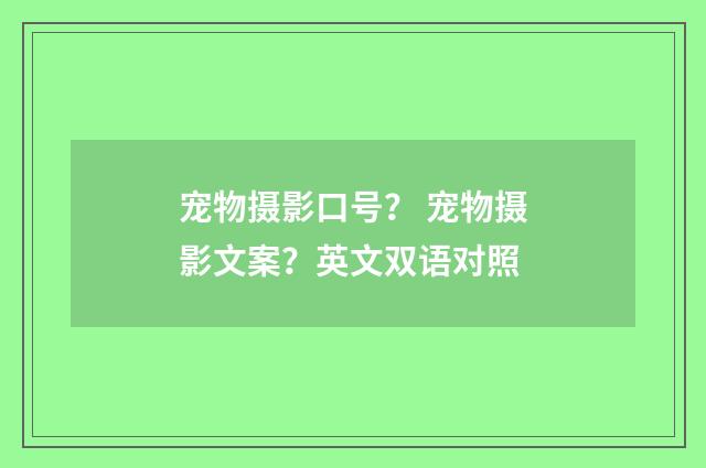 宠物摄影口号？ 宠物摄影文案？英文双语对照