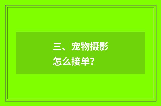 三、宠物摄影怎么接单？