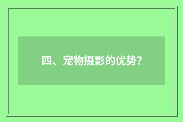 四、宠物摄影的优势?