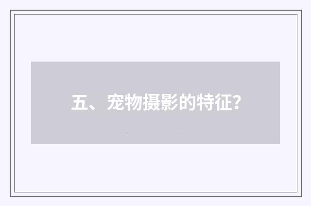 五、宠物摄影的特征？