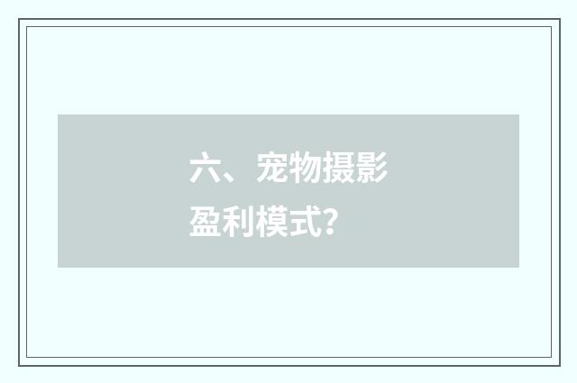 六、宠物摄影盈利模式？