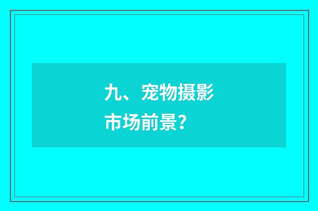 九、宠物摄影市场前景？