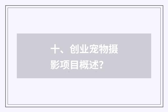 十、创业宠物摄影项目概述?