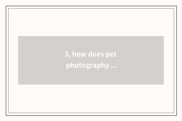 3, how does pet photography accept the order?