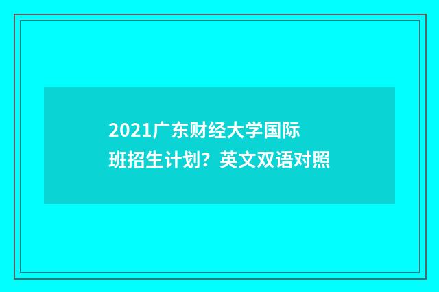 2021广东财经大学国际班招生计划?英文双语对照