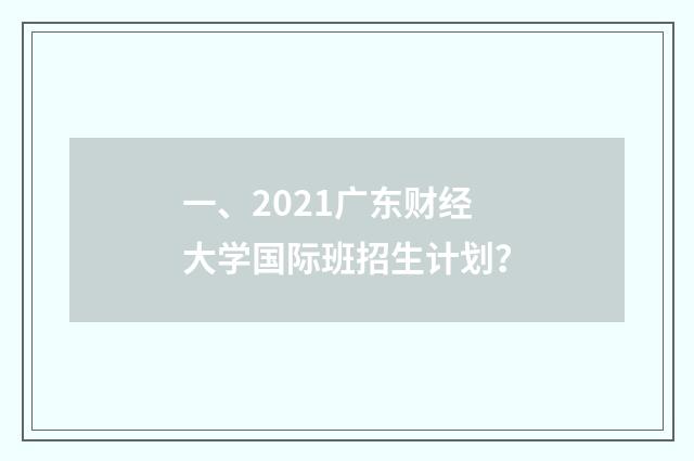 一、2021广东财经大学国际班招生计划？