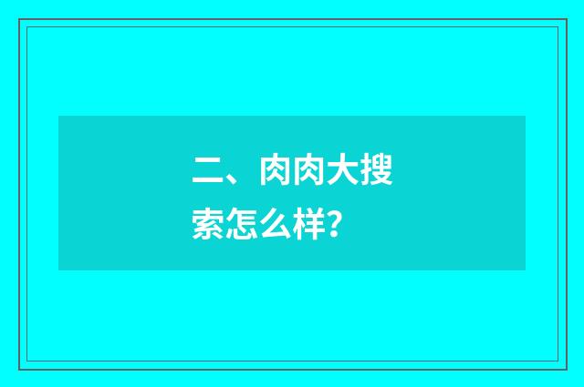 二、肉肉大搜索怎么样？