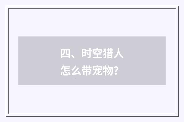 四、时空猎人怎么带宠物？