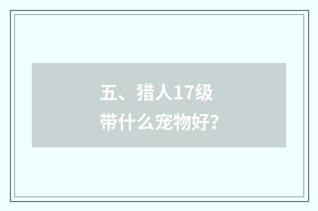五、猎人17级带什么宠物好？