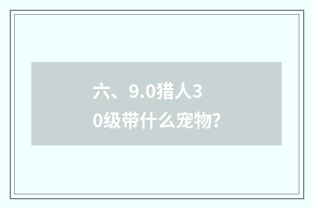 六、9.0猎人30级带什么宠物？