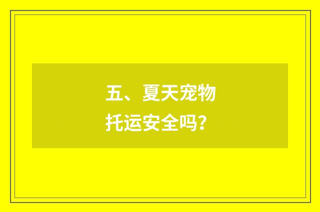 五、夏天宠物托运安全吗？