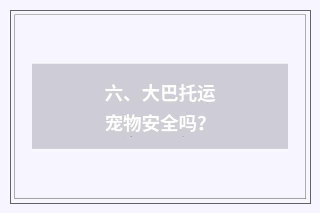 六、大巴托运宠物安全吗？