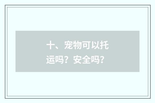 十、宠物可以托运吗？安全吗？