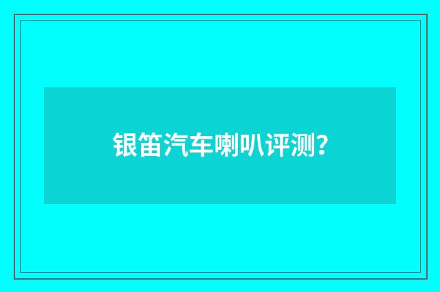 银笛汽车喇叭评测？