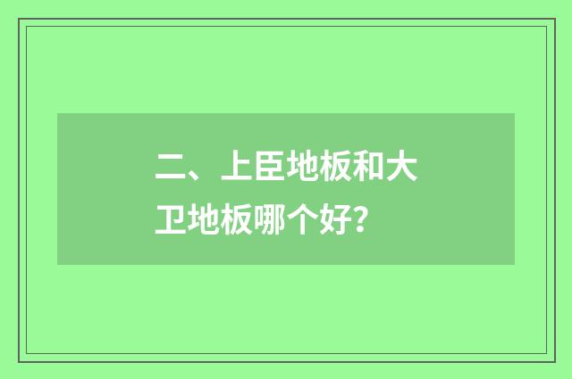 二、上臣地板和大卫地板哪个好？