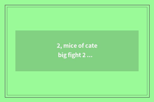 2, mice of cate big fight 2 how to download?
