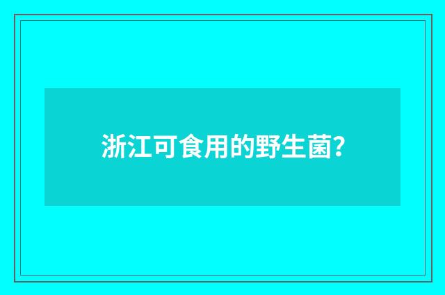 浙江可食用的野生菌？