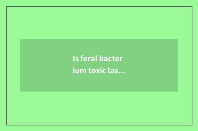 Is feral bacterium toxic lash-up beforehand case drilling program?
