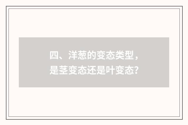 四、洋葱的变态类型,是茎变态还是叶变态?