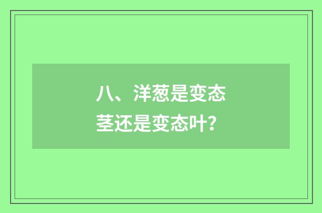 八、洋葱是变态茎还是变态叶？