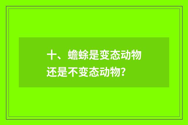 十、蟾蜍是变态动物还是不变态动物?