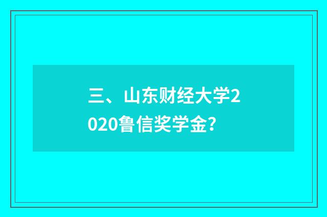 三、山东财经大学2020鲁信奖学金？