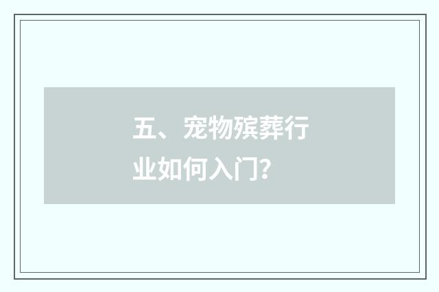 五、宠物殡葬行业如何入门？