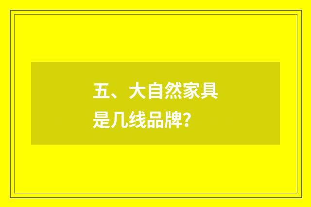五、大自然家具是几线品牌？