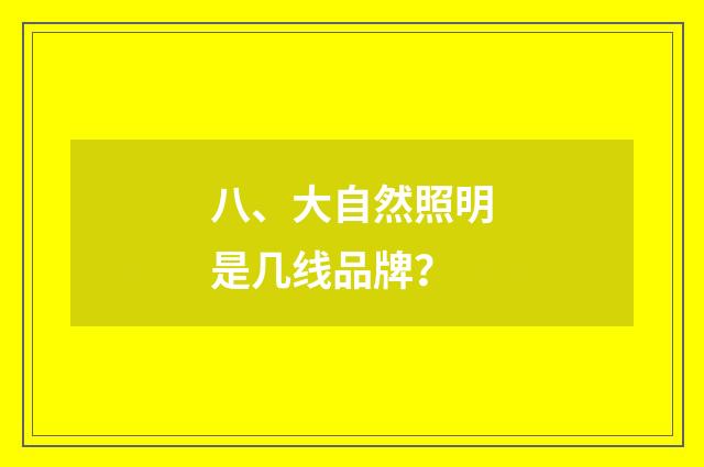 八、大自然照明是几线品牌？