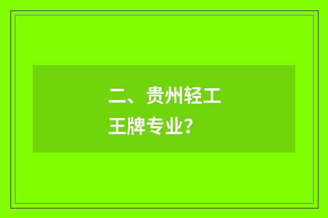 二、贵州轻工王牌专业？